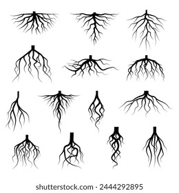 Tree root icon set. Tree root silhouette set.