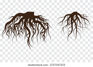 Conjunto de iconos de raíz de árbol. Silueta de raíz de árbol sobre fondo transparente. Ilustración aislada de la Plantilla del diseño del logotipo del icono de la raíz. Conjunto de EPS 10.