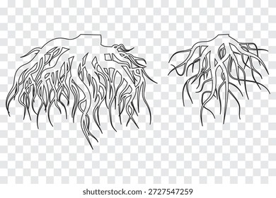 Conjunto de ícones da raiz da árvore. Silhueta da raiz da árvore definida em fundo transparente. Ícone raiz modelo de design de logotipo ilustração isolada. EPS 10 definido.