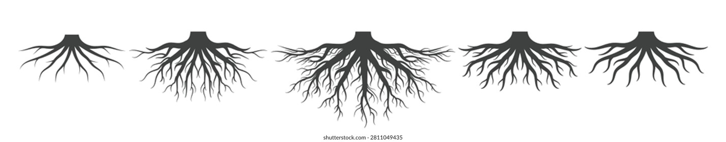 Tree root icon set. Tree root silhouettes vector illustration