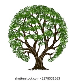 tree root illustration vector design with circle shape