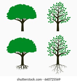 Tree with root and leaf. Set of trees. Vector illustration.