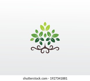 Tree Root and Leaves logo design.