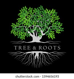 Tree and root logo design, isolated on a black background, vector illustration