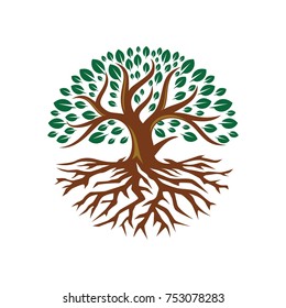 Tree Root Logo Flat Design Illustration