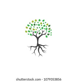 Tree and root logo icon vector template