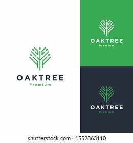 tree and root logo icon vector illustration