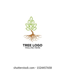 tree with root logo. natural plantation logo template