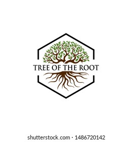 tree with the root logo template