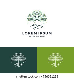 Tree And Root Logo Vector Leaf Round Circle Emblem Badge Download