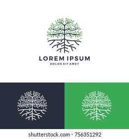 tree and root logo vector leaf round circle emblem badge download