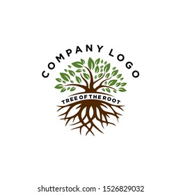 tree with root natural logo for company. tree of the root logo template 