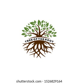 tree with root natural logo for company. tree of the root logo template 