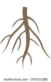 A tree or root of a plant. Flat vector illustration