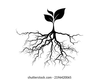 Tree and root silhouette isolated on white background. Tree and roots LOGO style.