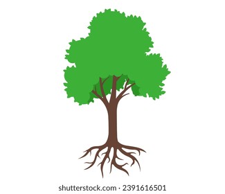 tree and root system. flat vector illustration