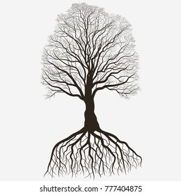 Tree with root system Silhouette isolated on white background, Black brown oak outline. Detailed image. Vector