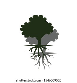 Tree with root system. Stock Vector illustration isolated on white background.