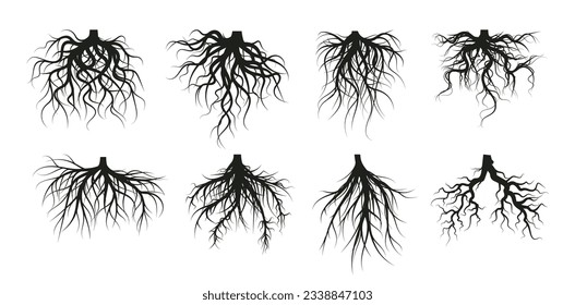 Tree root system, underground growing plants stems. Vector of underground root tree, forest silhouette illustration