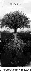 Tree With Root Vector Art