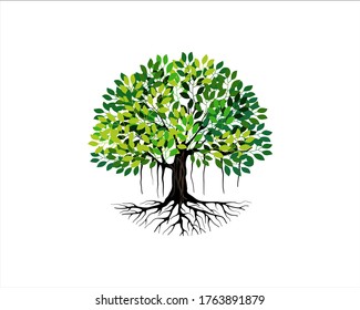 tree and root vector illustration, tree with round shape, isolated on white, EPS 10.