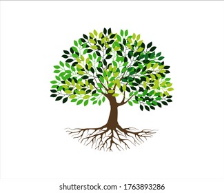 tree and root vector illustration, tree with round shape, isolated on white, EPS 10.