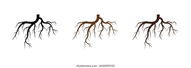 Conjunto de ícones da silhueta do vetor da raiz da árvore. Conjunto de raízes de árvore. raiz do ícone de árvore. Ilustração vetorial em eps 10.	