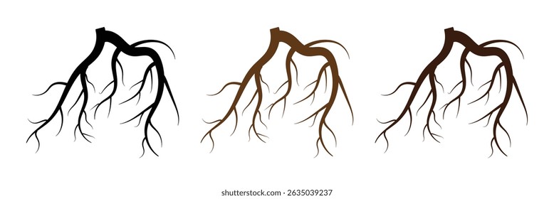 Tree root vector silhouette icon set. Set of tree roots. root of the tree icon. Vector illustration in eps 10.	