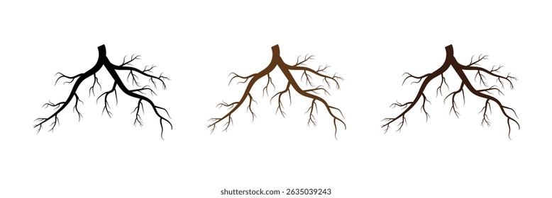 Tree root vector silhouette icon set. Set of tree roots. root of the tree icon. Vector illustration in eps 10.	