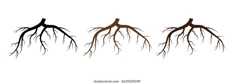 Tree root vector silhouette icon set. Set of tree roots. root of the tree icon. Vector illustration in eps 10.	
