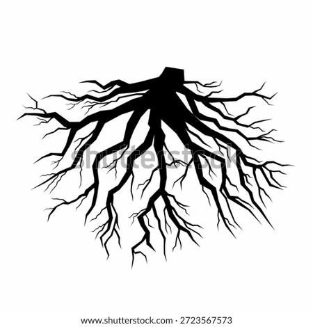 Tree root vector silhouette isolated on white background. Plant root system. Realistic black root illustration. Monochrome illustration of the Power and Growth of Nature.