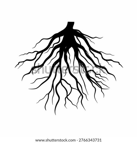 Tree root vector silhouette on a white background. Plant root system. Realistic black root illustration. Great for logos or illustrations.