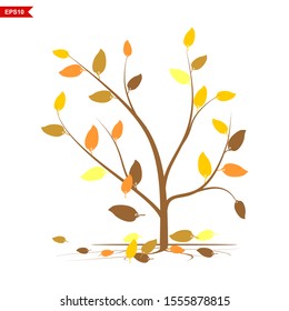 tree rooted in autumn with colorful leaves, vector