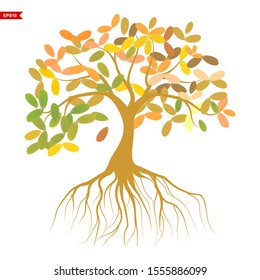 tree rooted in autumn with colorful leaves, vector