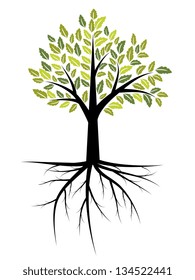 Tree with roots