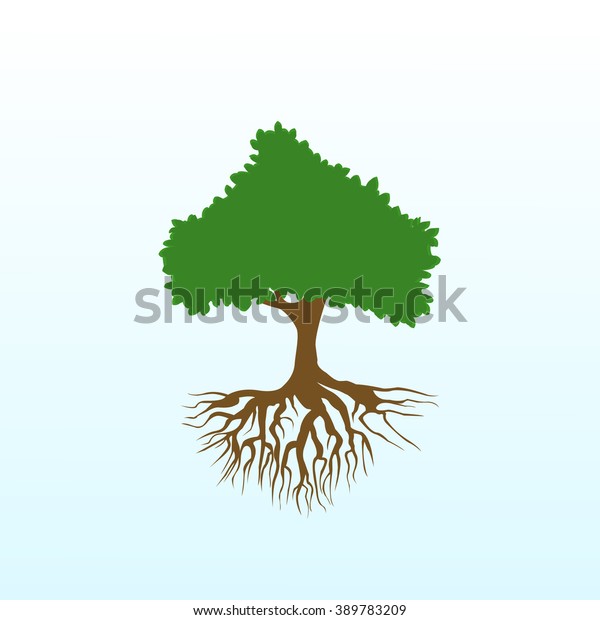 Tree Roots Stock Vector (Royalty Free) 389783209