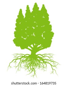 Tree with roots background ecology vector concept card