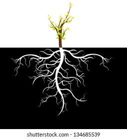 Tree with Roots Background, vector