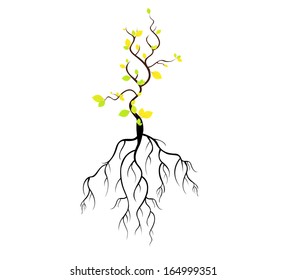 Tree with Roots Background, vector 