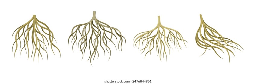 Raíces de árbol con conjunto de Vector de tallo ramificado desnudo