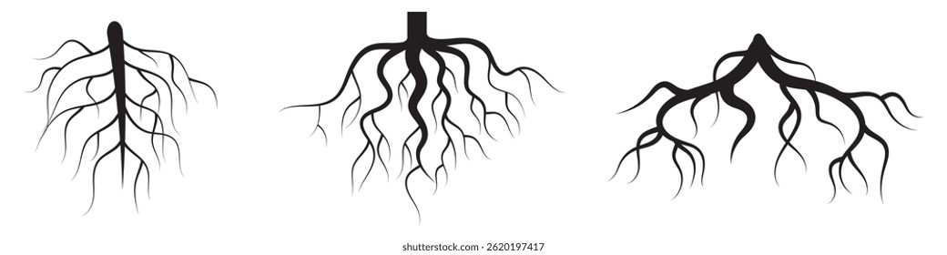 Tree Roots Big Collection. Set of Black Tree Roots Silhouettes Vector Isolated Illustration. Forest Plant Roots