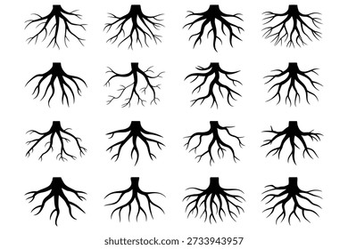 Tree roots black silhouette root system plant biology