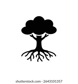 Tree Roots Branching Outward in Soil Close-up