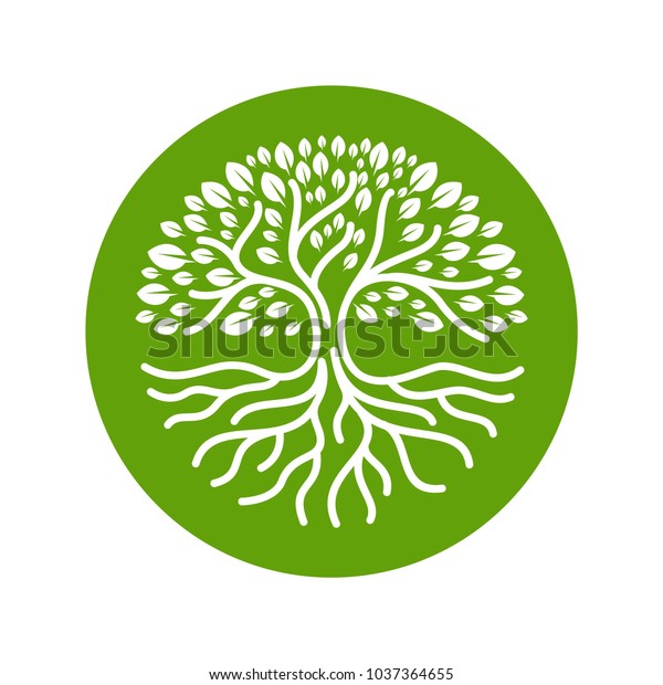 Tree Roots Circle Logo Icon Stock Vector (Royalty Free) 1037364655