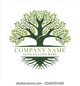 Tree and roots for company or branding logo design vector isolated on white background