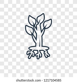 Tree and roots concept vector linear icon isolated on transparent background, Tree and roots concept transparency concept in outline style