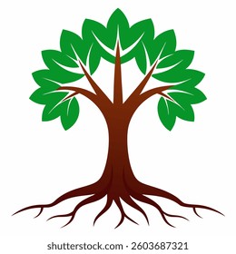 Tree and roots design on white background, best tree for logo, 