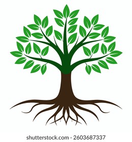 Tree and roots design on white background, best tree for logo, 