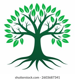 Tree and roots design on white background, best tree for logo, 