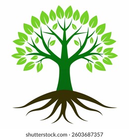Tree and roots design on white background, best tree for logo, 